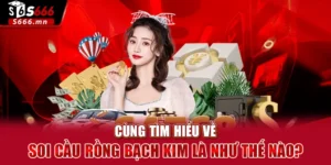 Soi Cầu Rồng Bạch Kim